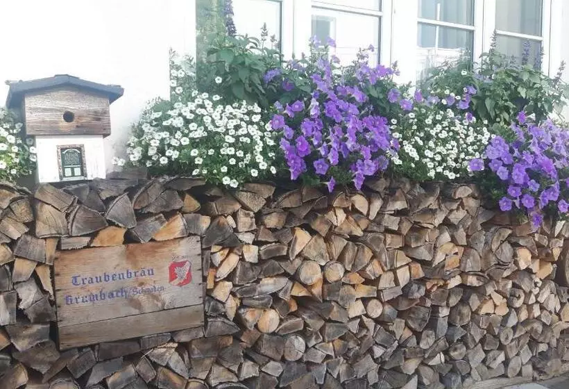 Отель Gasthof Traubenbrau