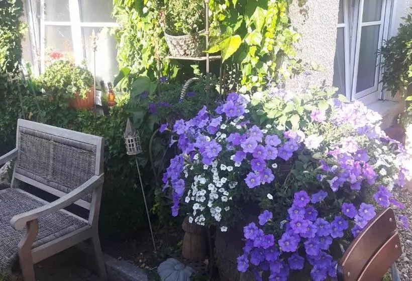 Отель Gasthof Traubenbrau