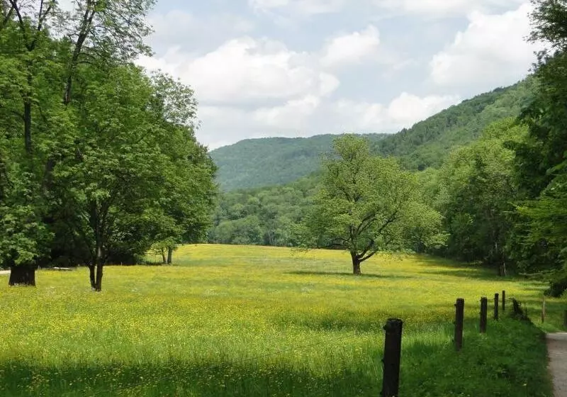 فندق Graf Eberhard