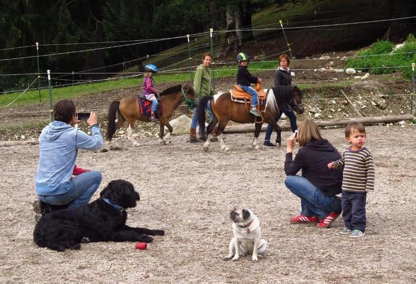 酒店 Gruppenhaus Dreimäderlhaus