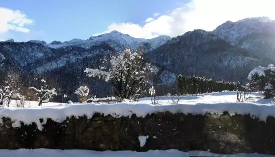 Отель Haus Amberger