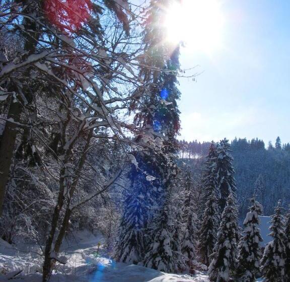 Пансион B&b Steinasäge