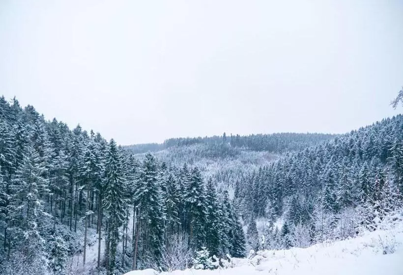 펜션 B&b Steinasäge