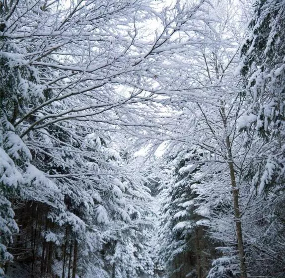 펜션 B&b Steinasäge