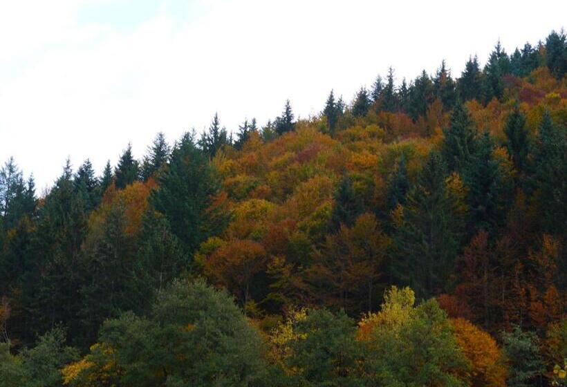 Пансион B&b Steinasäge