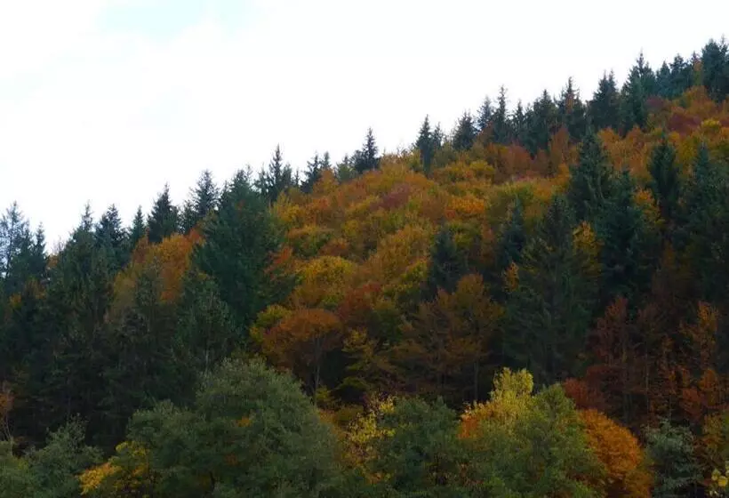 펜션 B&b Steinasäge