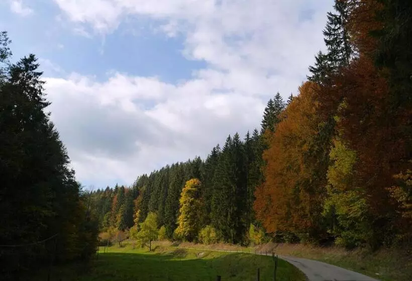 펜션 B&b Steinasäge