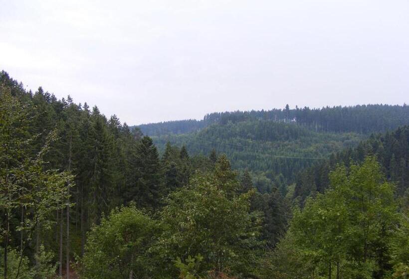 Пансион B&b Steinasäge