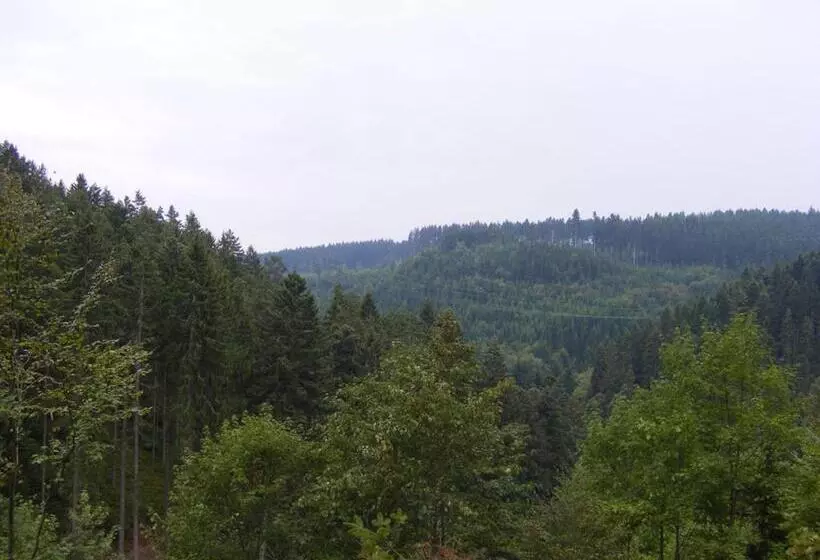 펜션 B&b Steinasäge