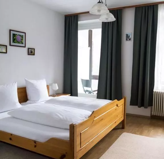 펜션 B&b Steinasäge