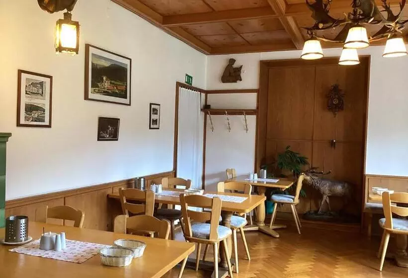 펜션 B&b Steinasäge