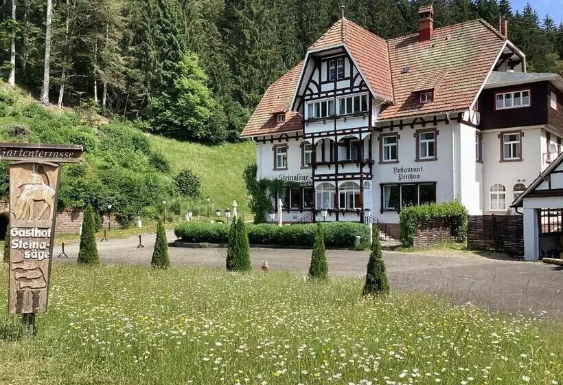 펜션 B&b Steinasäge