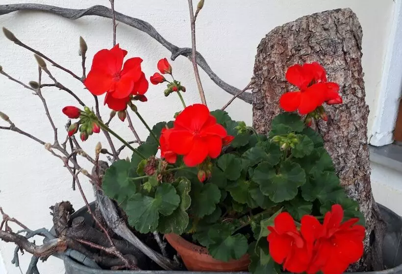 پانسیون Landgasthof Zum Kirchenwirt