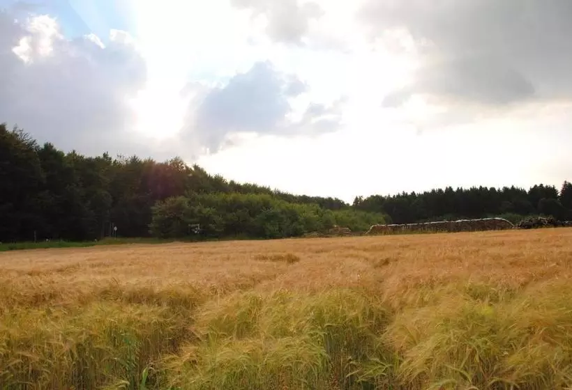 Пансион Restaurant Forstwirt