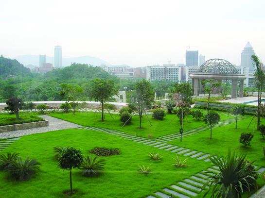 Отель Jiang Men Palace International