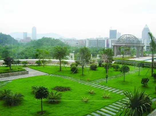 Отель Jiang Men Palace International