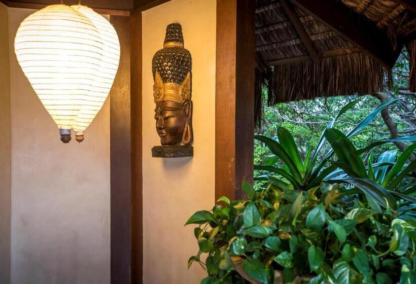 هتل Sombra E Agua Fresca Floresta