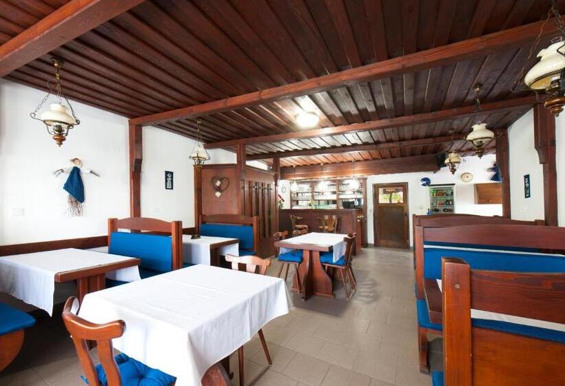 פנסיון Penzion Posada