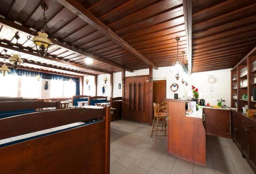 פנסיון Penzion Posada