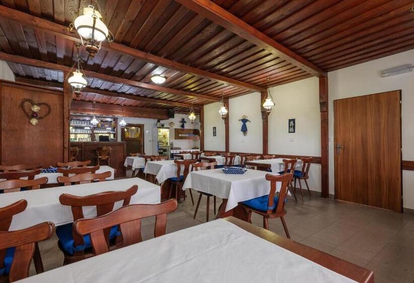 פנסיון Penzion Posada