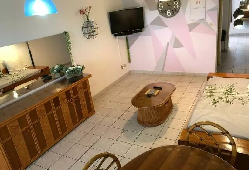 Appartement Des Aigrettes Saint Gilles Les Bains