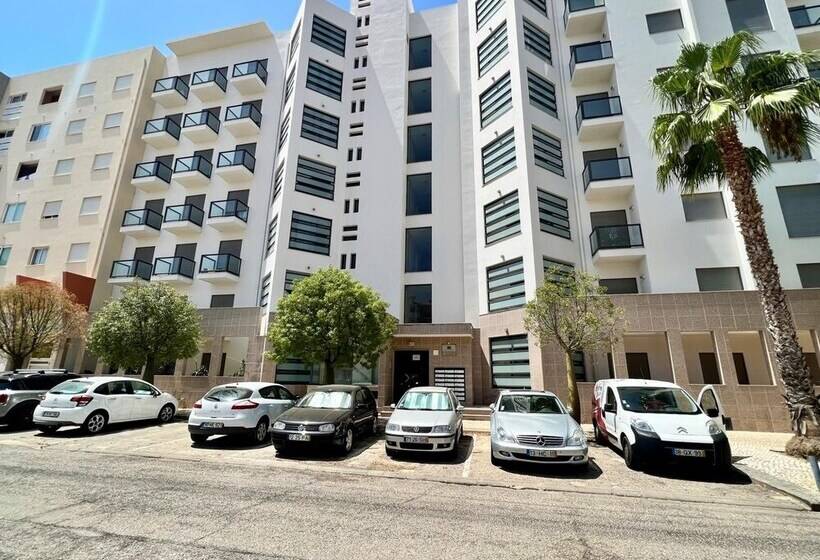 Faro Stylish 2 By Homing