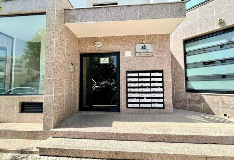 Faro Stylish 2 By Homing