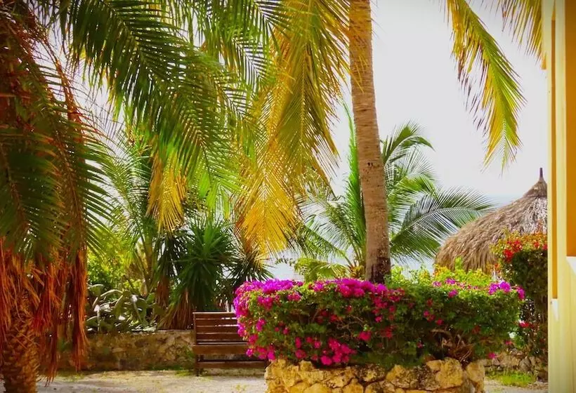 هتل Lagun Blou Resort