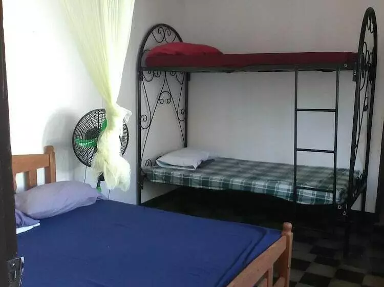 ホテル The Sleeping Dog Hostel