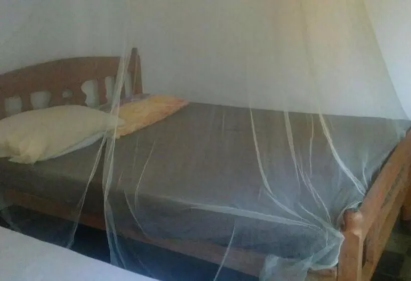 ホテル The Sleeping Dog Hostel