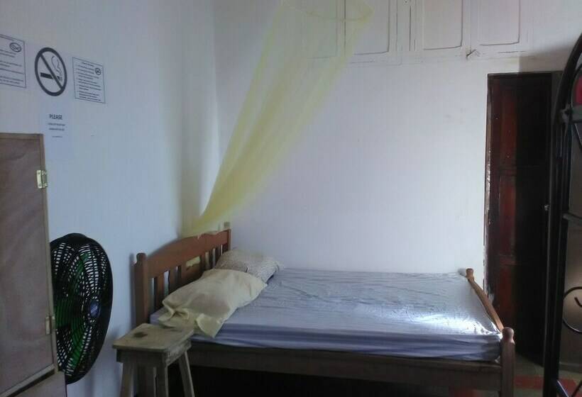 هتل The Sleeping Dog Hostel