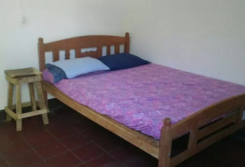 ホテル The Sleeping Dog Hostel