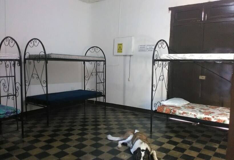 هتل The Sleeping Dog Hostel