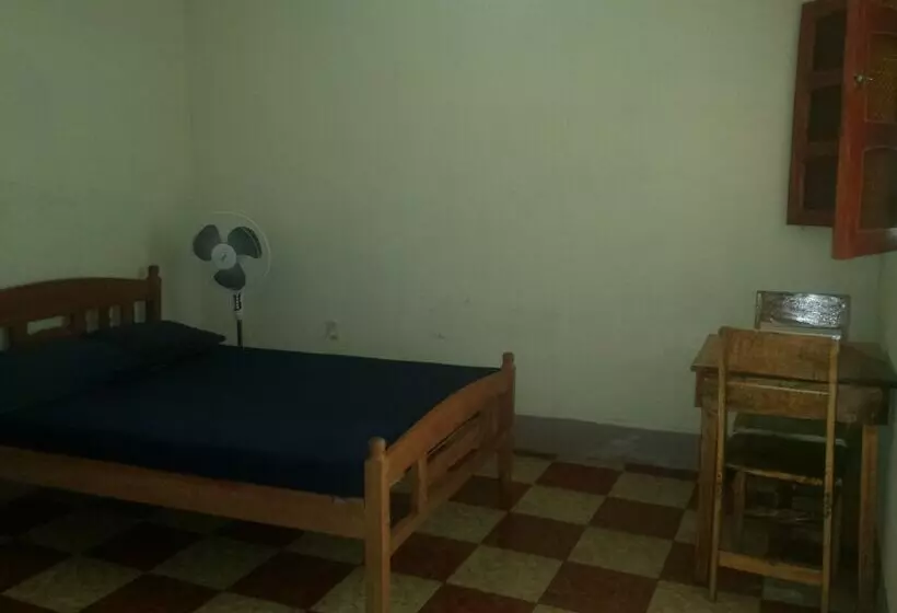 ホテル The Sleeping Dog Hostel