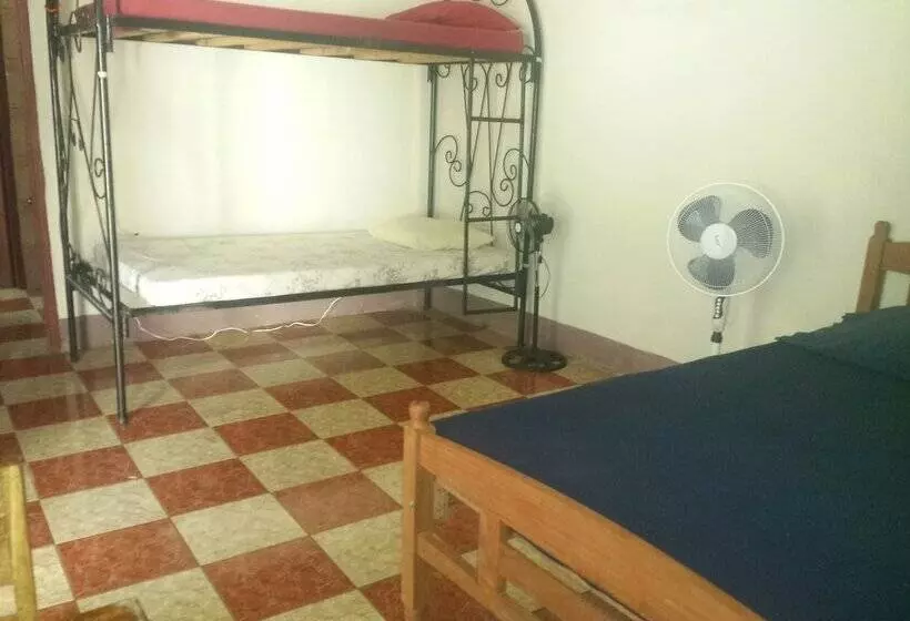 ホテル The Sleeping Dog Hostel