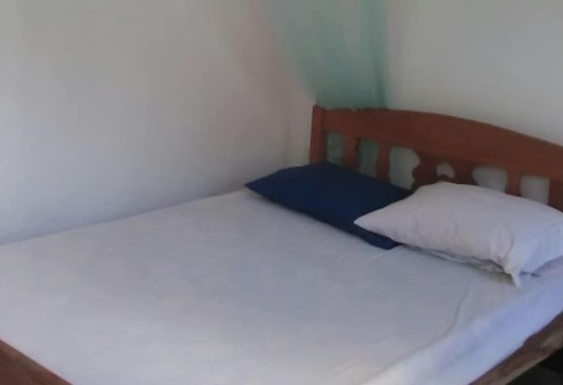 هتل The Sleeping Dog Hostel