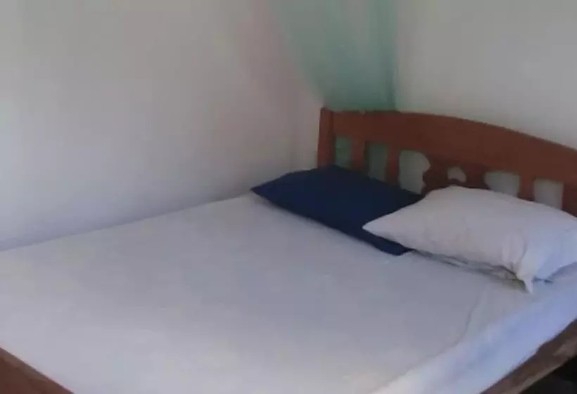 ホテル The Sleeping Dog Hostel
