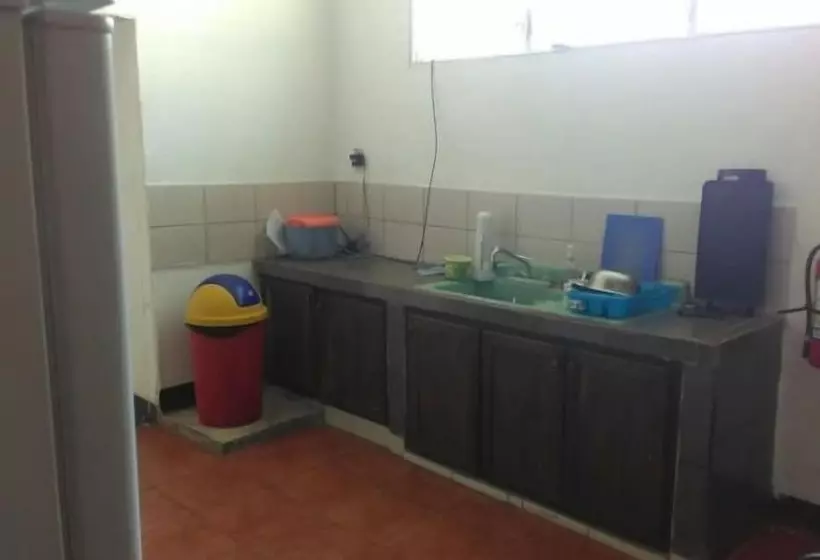 ホテル The Sleeping Dog Hostel