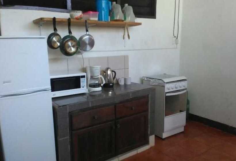 هتل The Sleeping Dog Hostel