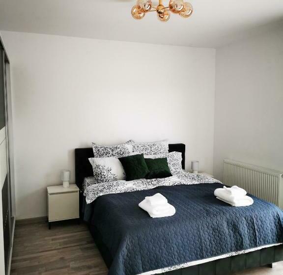 Teo Apartment Brasov