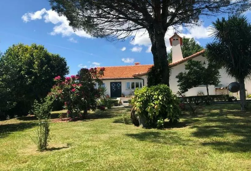 Casas Viriatus   Turismo Rural
