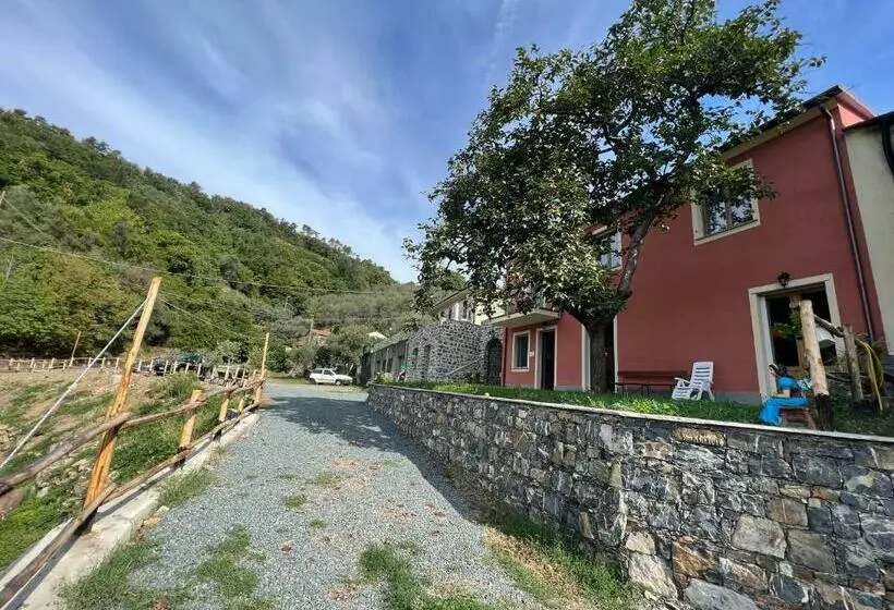 ホテル Agriturismo Torsivì