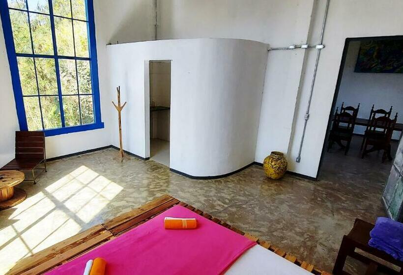 膳宿费 Suíte Senhor De Engenho