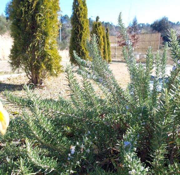 住宿加早餐  Casa Dos Remendos   Alojamento Local