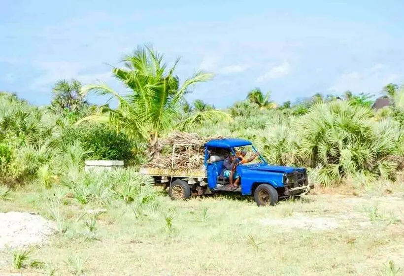 Mozambique,inhambane,barra  Entire Beach House
