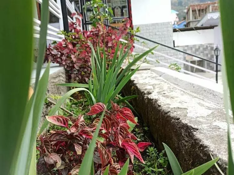 Hotelli Rufina Lachung Kunga