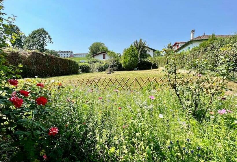 Saint Jean Pied De Port: Nere Nahia