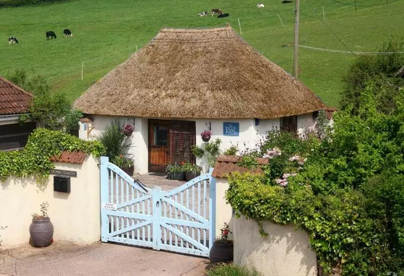 The Nest   Thatched Seaside Country Cottage For Two