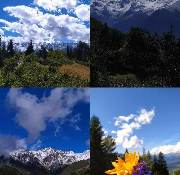 پانسیون Gujejiani Guest House