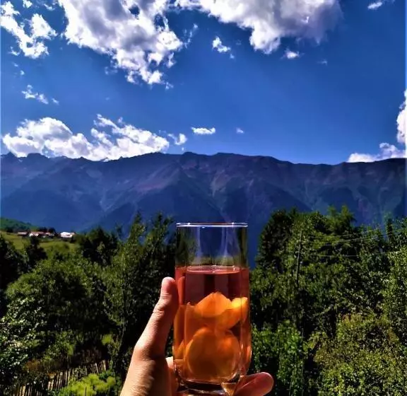 پانسیون Gujejiani Guest House